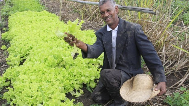 residencial catarina itaboraí agricultura familiar 02