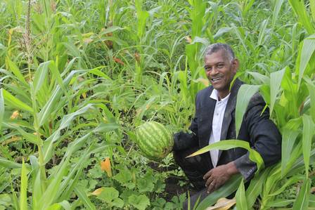 residencial catarina itaboraí agricultura familiar