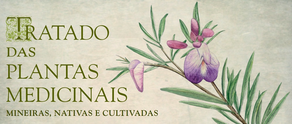 livro-ervas-medicinais-001