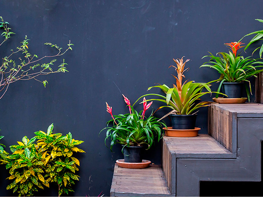 plantas-em-casa-jardim-interior-reforma-constraucao-rio-de-janeiro-cl-construtora-02